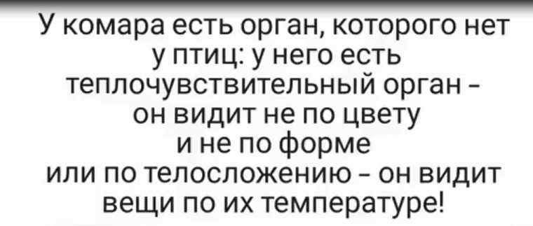 Интересные факты о комарах