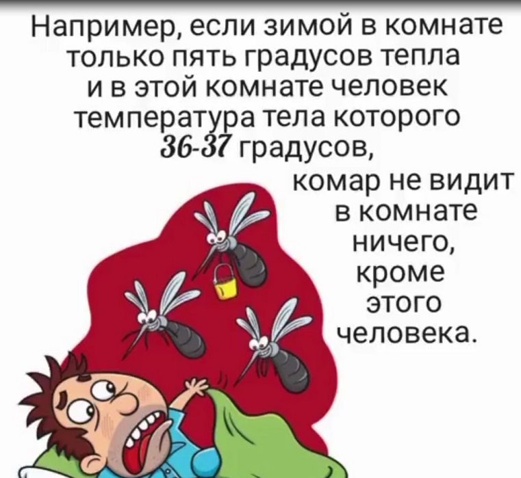 Интересные факты о комарах