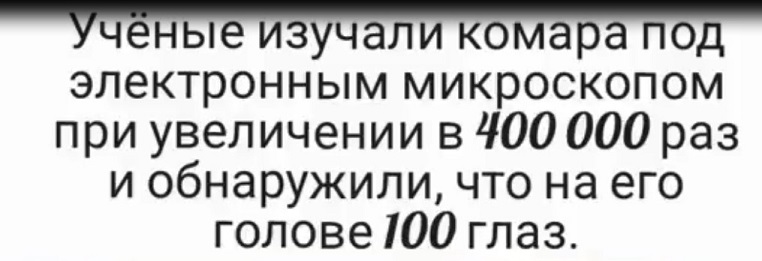 Интересные факты