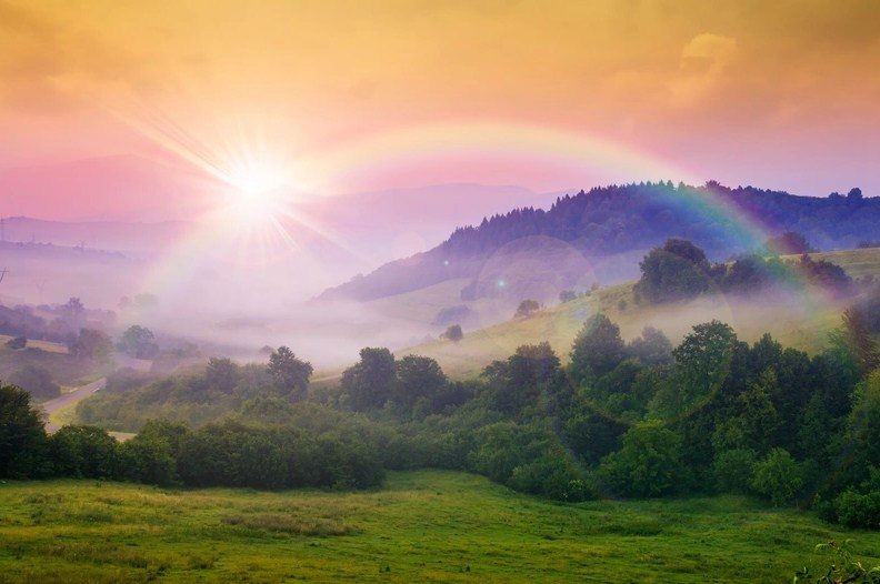 Сама природа дает человеку подсказки