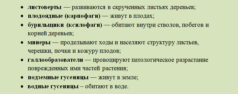 Место обитания гусениц