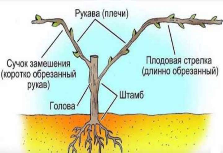 Технология замещения