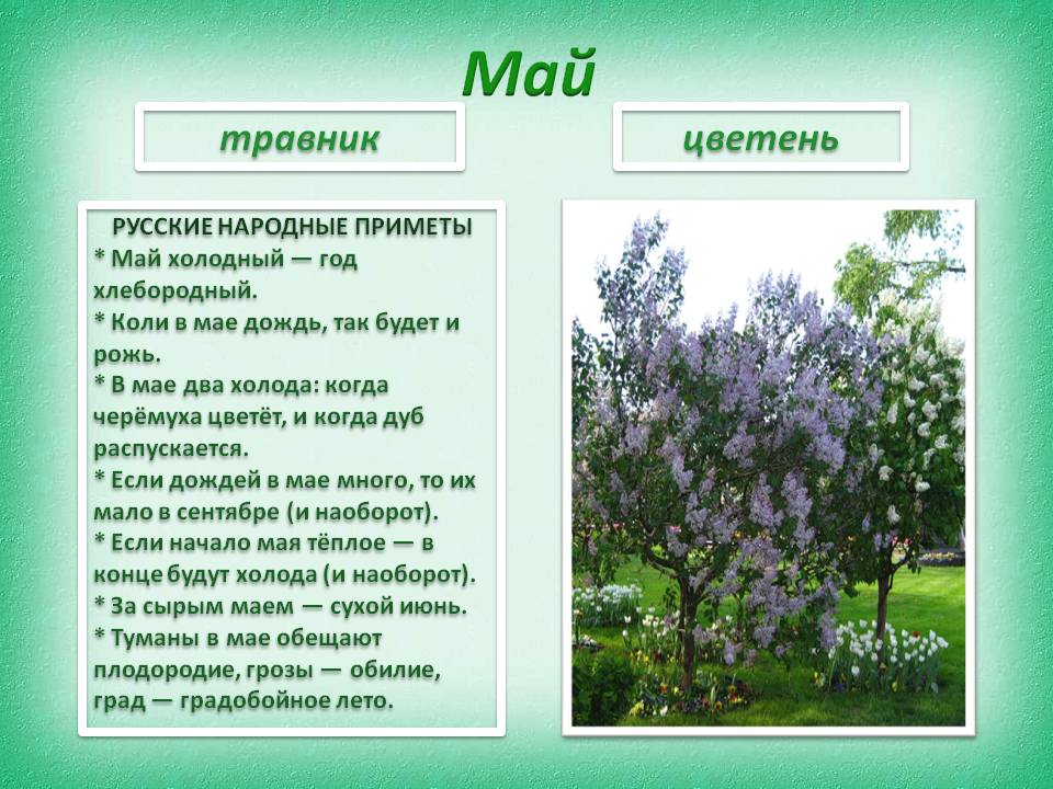 Майские приметы