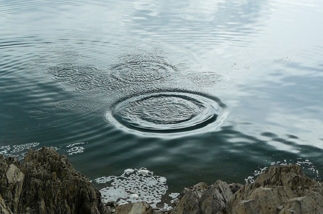 Волны на поверхности воды