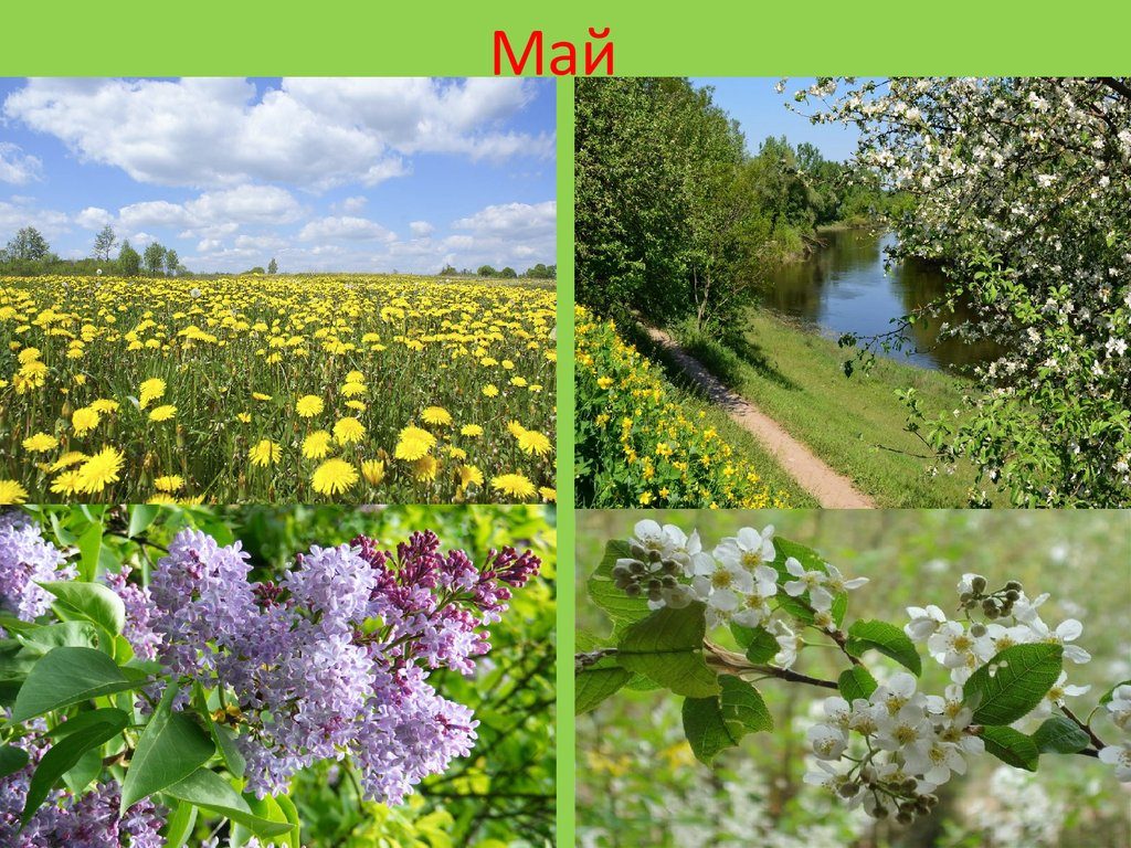 Майские приметы