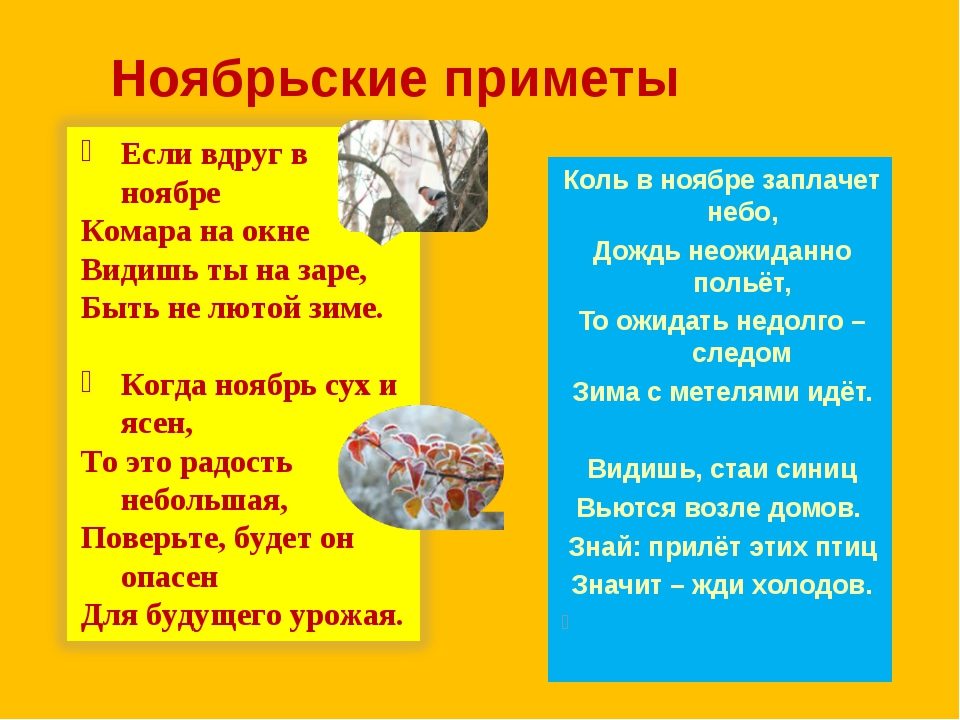 Приметы в ноябре