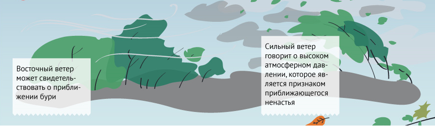 Методы определения погоды: наблюдение за ветром