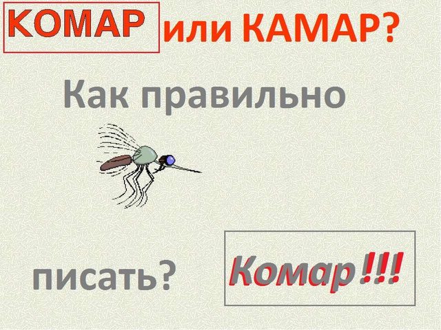 Как правильно пишется слово «КОМАР»?