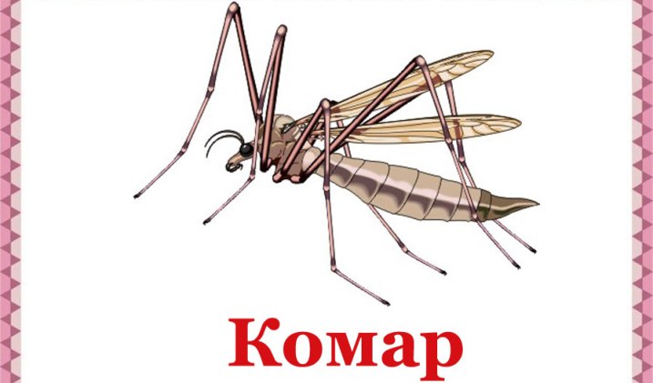 Правильно пишется «комар»