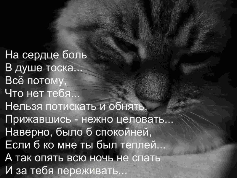 Боль в душе