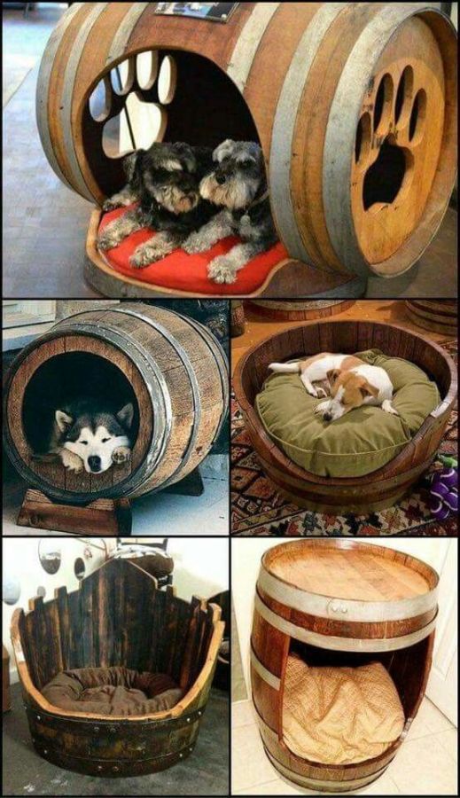 Креативные лежаки для собаки