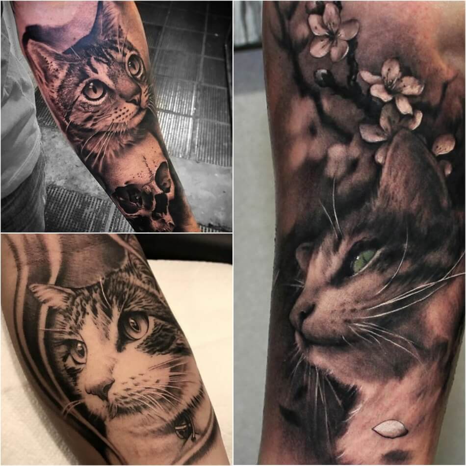 Кошка - татуировка,3 сделанная в стиле реализм