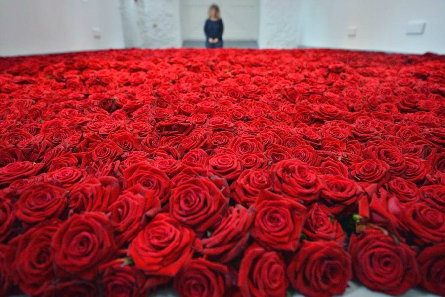 Приснилось много роз, к чему?