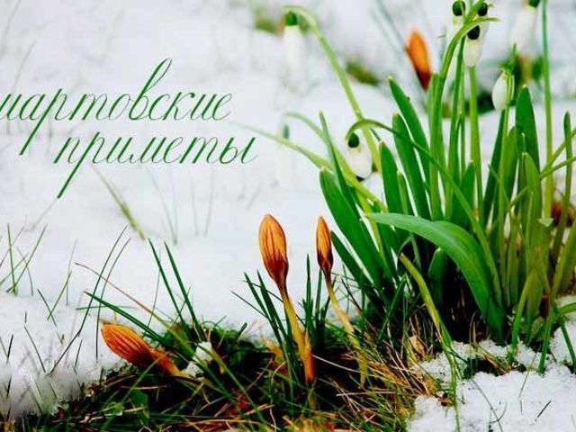 Народные приметы на март о погоде, природе, связанные с церковными праздниками, на каждый день: описание, обычаи, обряды, что можно, а что нельзя делать. Свадьба, жениться, венчаться, родиться в марте: приметы