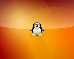 Linux Ubuntu — что это? Как установить Линукс Убунту на свой компьютер?