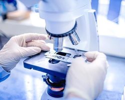 Что такое гистология? Что может показать анализ на гистологию, как происходит сам процесс, как происходит подготовка гистологической техники исследования, сроки проведения гистологического исследования. Может ли гистологическое обследование быть ошибочное?