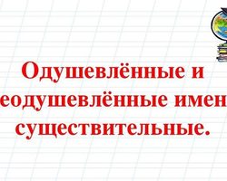 Как понять — одушевленное или неодушевленное существительное: правило, примеры