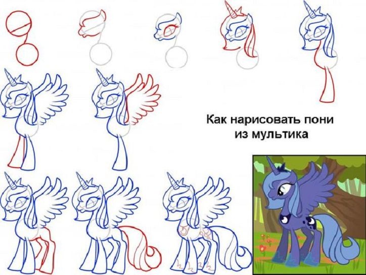Схема рисования пони из мультика