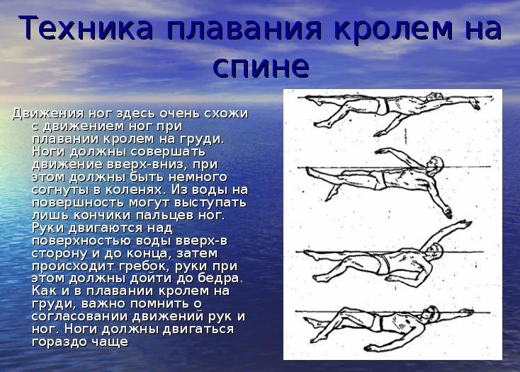 Плавание кролем на спине: работа ногами