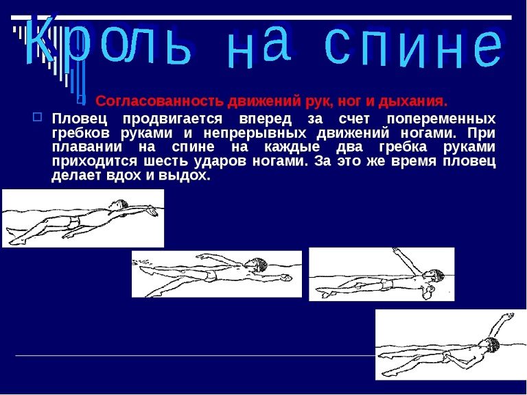 Плавание кролем на спине: согласованность движений