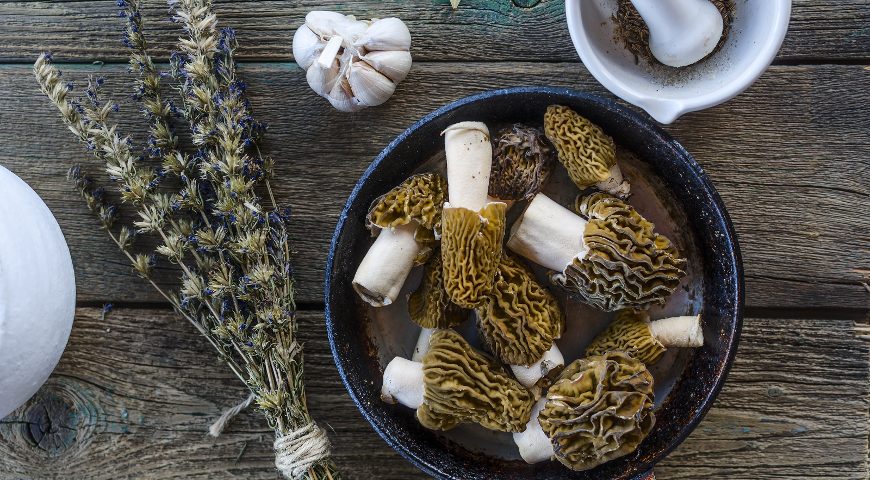 Морозим сморчки