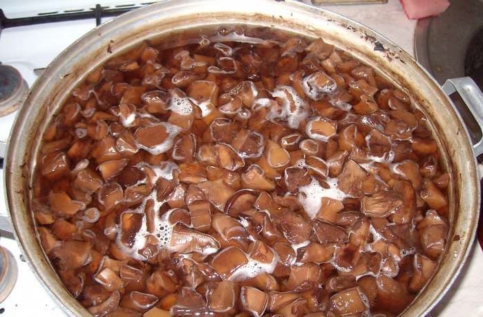 Сахарные грибы