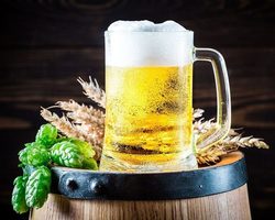 Алкогольное и безалкогольное пиво: какая между ними разница, допустимая суточная доза, какие могут быть последствия его чрезмерного употребления? Полезно или вредно пить алкогольное и безалкогольное пиво каждый день женщинам, подросткам, мужчинам?