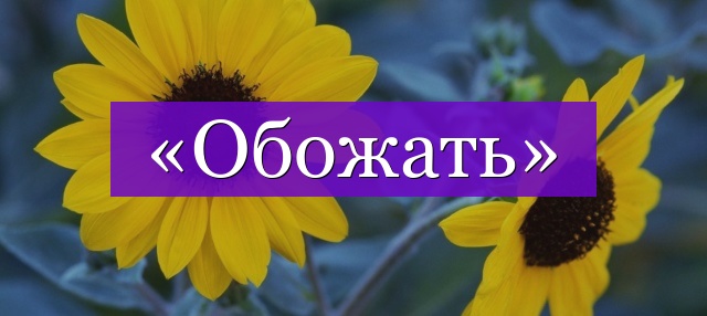 Обожать или обажать