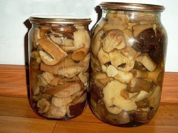 Маринованные сыроежки