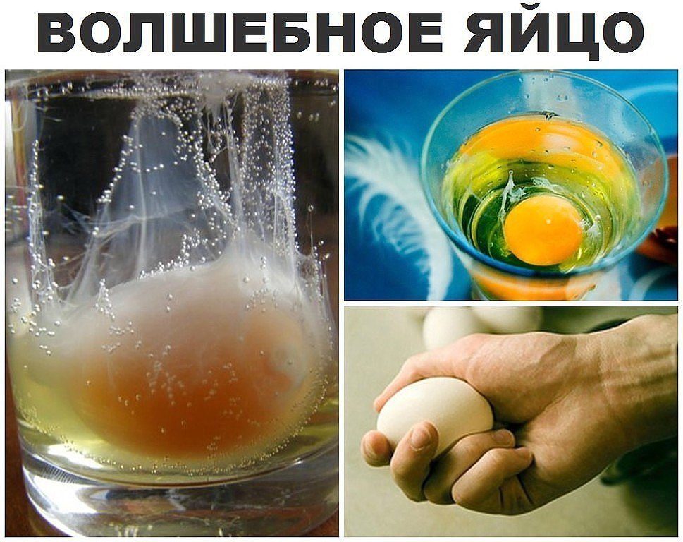Яйцо для определения порчи