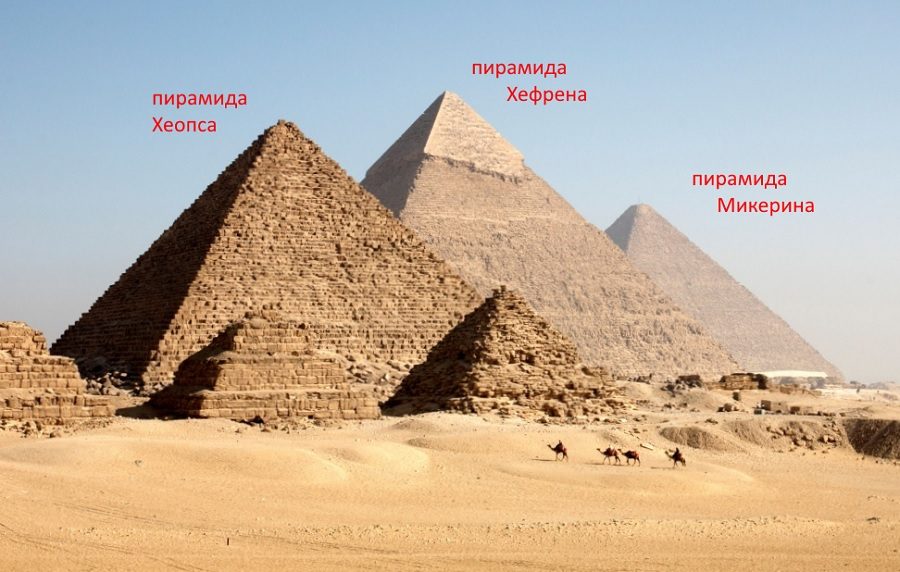 Находятся в гизе