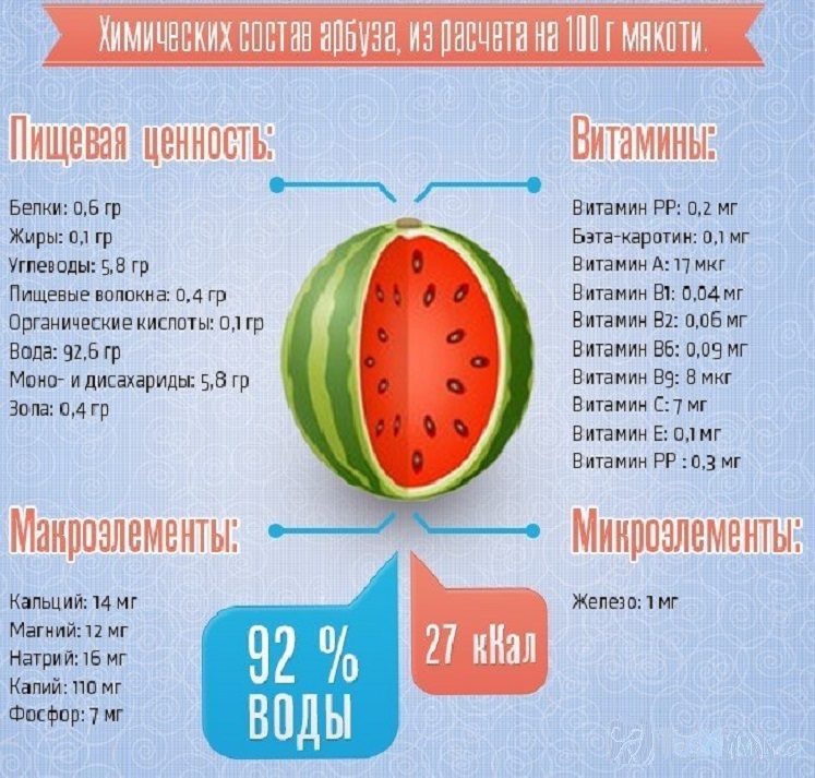 Польза арбуза для детей