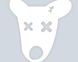 Как заморозить страницу в ВК самостоятельно: инструкция. Как заморозить чужую страницу в ВК?