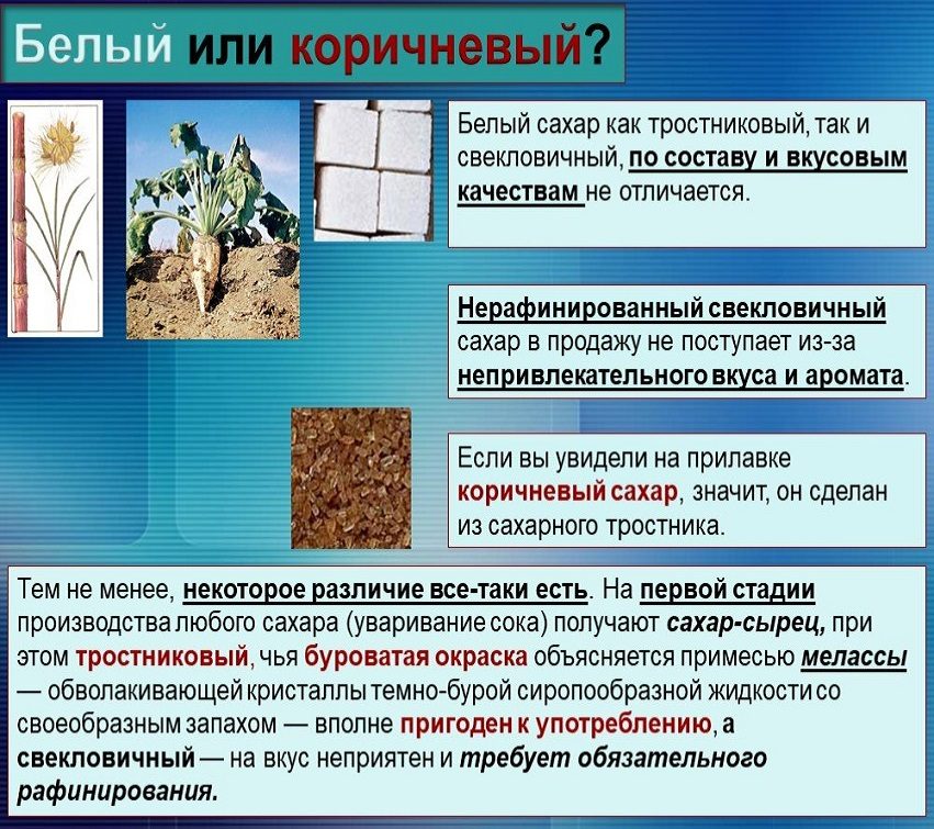 Как производится белый и коричневый сахар