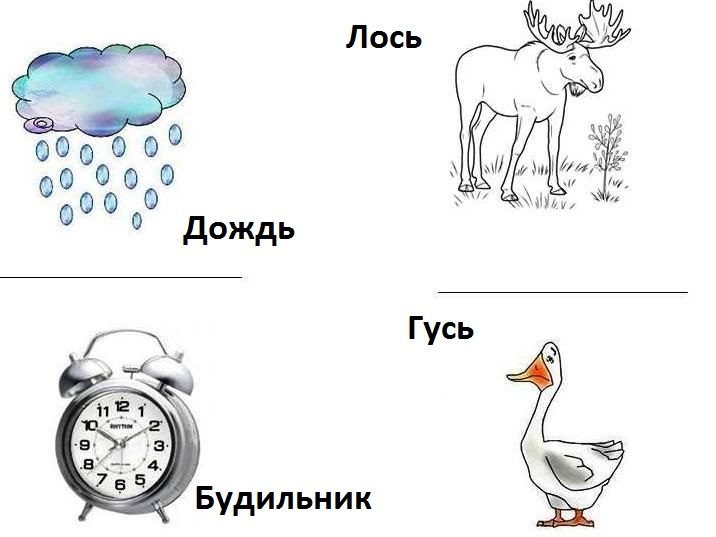 Название птиц с разделительным мягким знаком