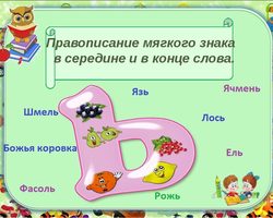 Названия рыб, животных, птиц, насекомых, растений с разделительным мягким знаком, мягким знаком на конце, в середине слова из 4, 5, 6, 7 букв: список слов
