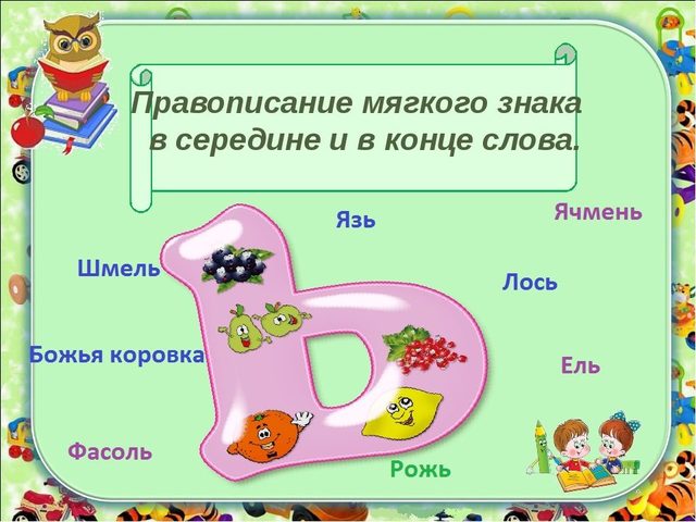 Названия рыб, животных, птиц, насекомых, растений с разделительным мягким знаком, мягким знаком на конце, в середине слова из 4, 5, 6, 7 букв: список слов