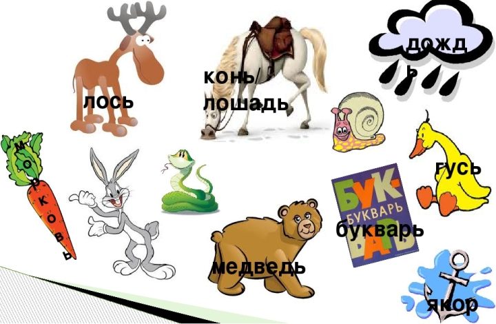 Название животных с разделительным мягким знаком