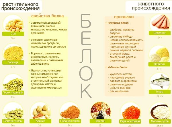 В каких продуктах много белка?