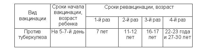 Обычные сроки проведения пробы манту
