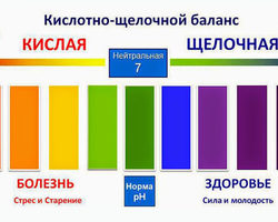 Щелочные и окисляющие продукты питания: список, таблица, польза и вред. Как правильно употреблять щелочные и окисляющие продукты питания: рекомендации. Какие щелочные продукты лучше употреблять при онкологии?