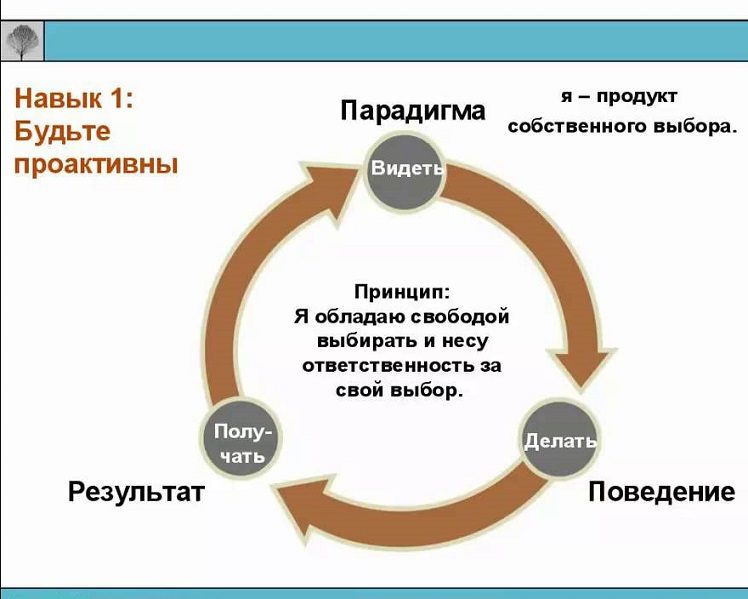 Навык 1 высокоэффективных людей по стивену кови