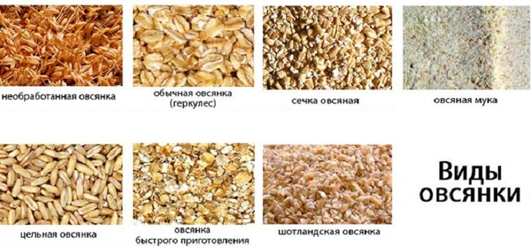 Виды овсянки и геркулеса