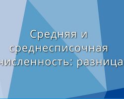 Численность и среднесписочная численность: разница. Чем отличается численность от среднесписочной численности?