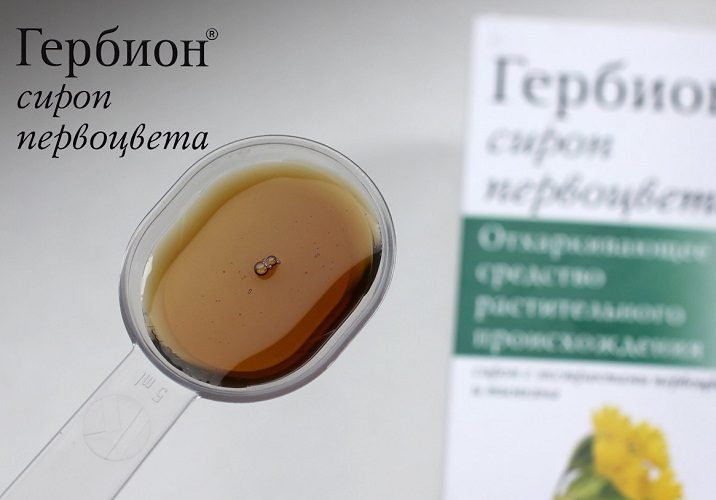 Первоцвет разжижает даже вязкую мокроту