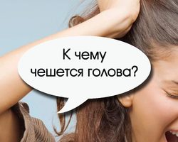 К чему чешется голова, виски, лоб, макушка, темечко, затылок головы, за ухом: любовные приметы по дням недели для мужчин и женщин