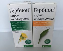 Какие бывают сиропы Гербион от кашля? Как они действуют? Как принимать Гербион от сухого и влажного кашля: инструкция по применению. Как взаимодействуют сиропы Гербион с другими препаратами? Какие бывают противопоказания, побочные действия, аналоги сиропов Гебион от сухого и влажного кашля?