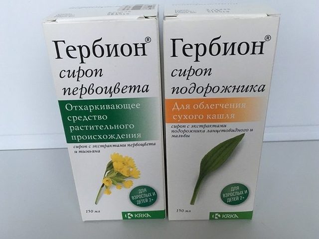 Какие бывают сиропы Гербион от кашля? Как они действуют? Как принимать Гербион от сухого и влажного кашля: инструкция по применению. Как взаимодействуют сиропы Гербион с другими препаратами? Какие бывают противопоказания, побочные действия, аналоги сиропов Гебион от сухого и влажного кашля?