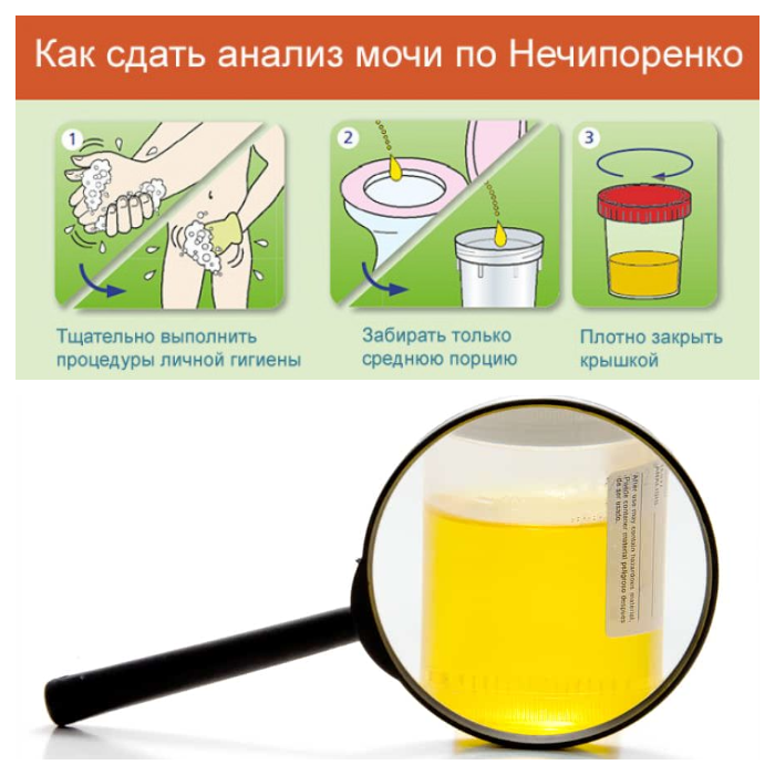 Сдаем правильно