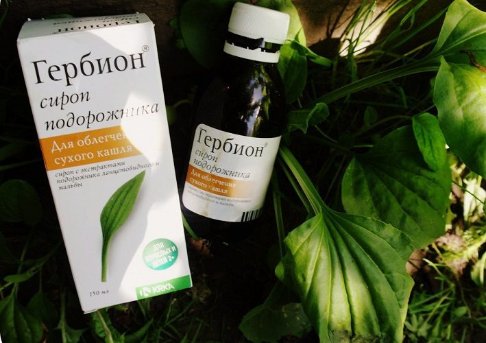 Подорожник - номер один среди помощников в борьбе с сухим кашлем